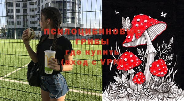 стаф Дмитров