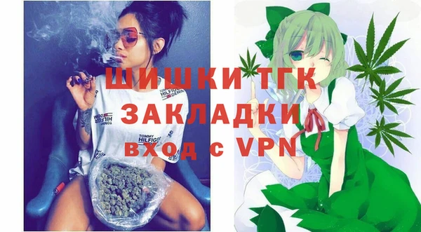 стаф Дмитров