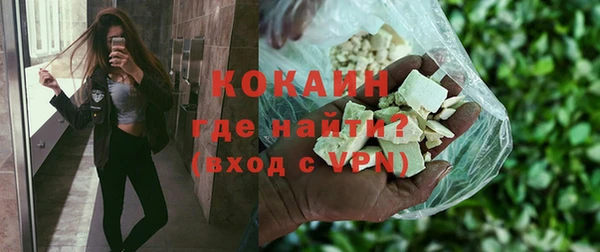 стаф Дмитров