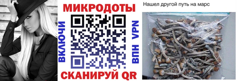 Купить  Ишимбай  Псилоцибиновые грибы Psilocybe 